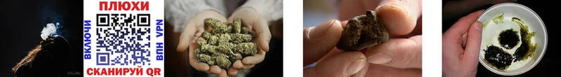 где можно купить Новосиль Гашиш Cannabis