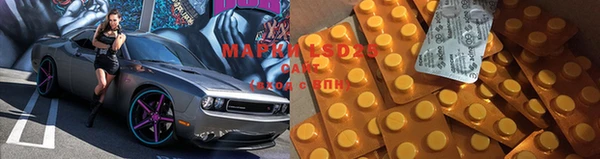 кокс Аркадак